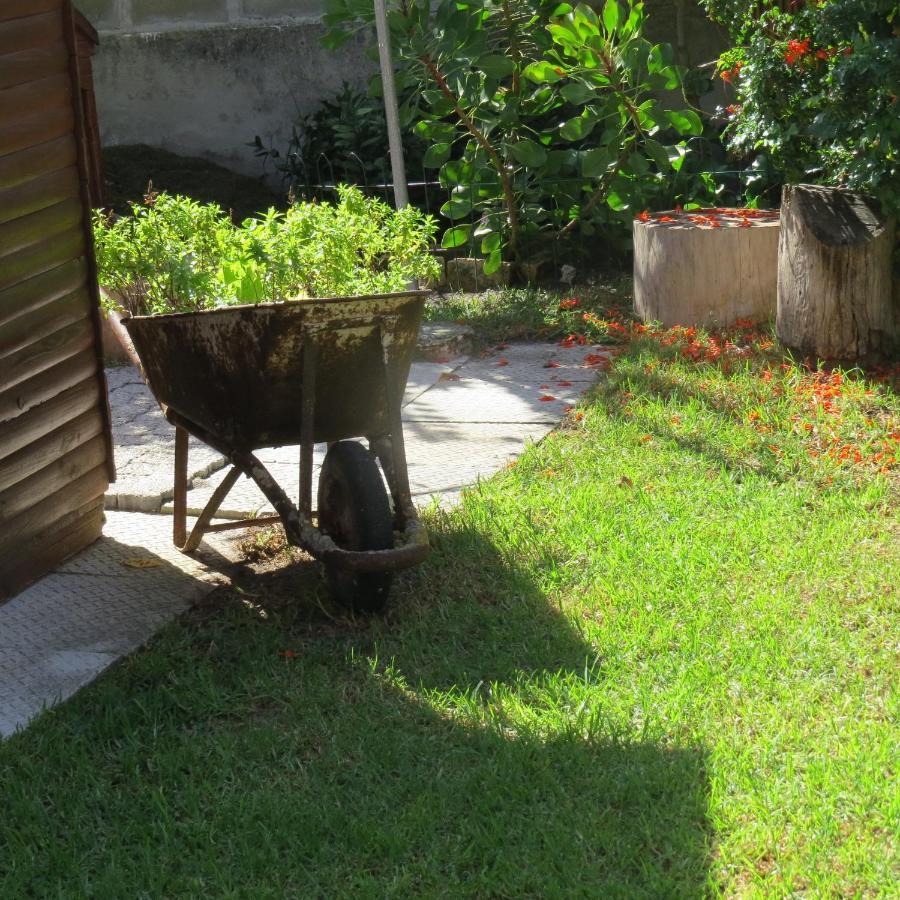 Bergsig Accommodation Hermanus Ngoại thất bức ảnh